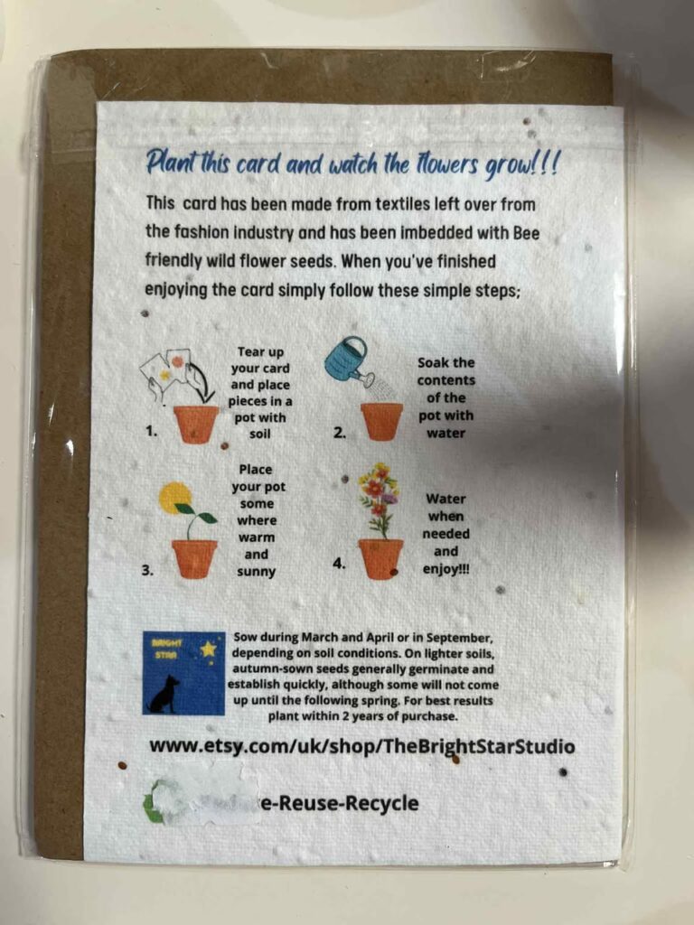 Series of paper cards with seeds and Christmas cheer